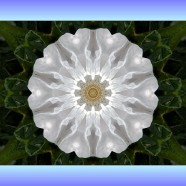 Hail Guru Ram Das and Heal the World