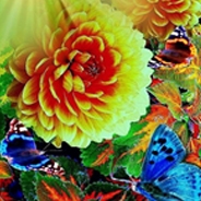New Series Alert-Senses of the Soul with Jiwan Shakti