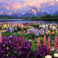 Spring is Coming…