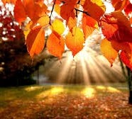 “Fall” in love with Kundalini Yoga