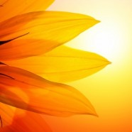 The Body for Blessings for Self and Others