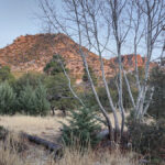 Chiricahua Mountains view
