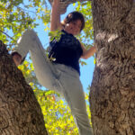 Climbing