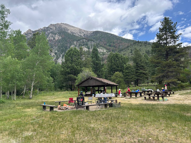 Tucson Yoga4All sangha was like a hive of bees that visited the blooms of our hearts for our 2025 Summer Solstice retreat