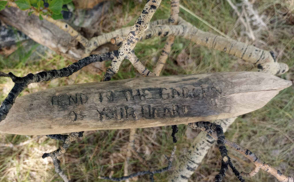 I opened our first integration on Sunday evening with an invitation to create a wild altar by gathering logs and branches, stones, flowers, pine cones, and more.
